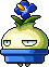 Potted Morning Glory