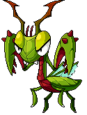 Blood Mantis