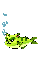 Green Catfish
