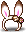 White Choco Bunny