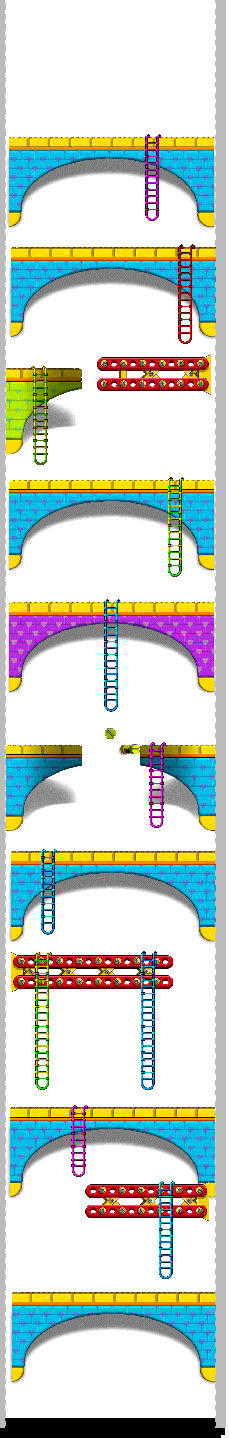 render_map_image_221020701