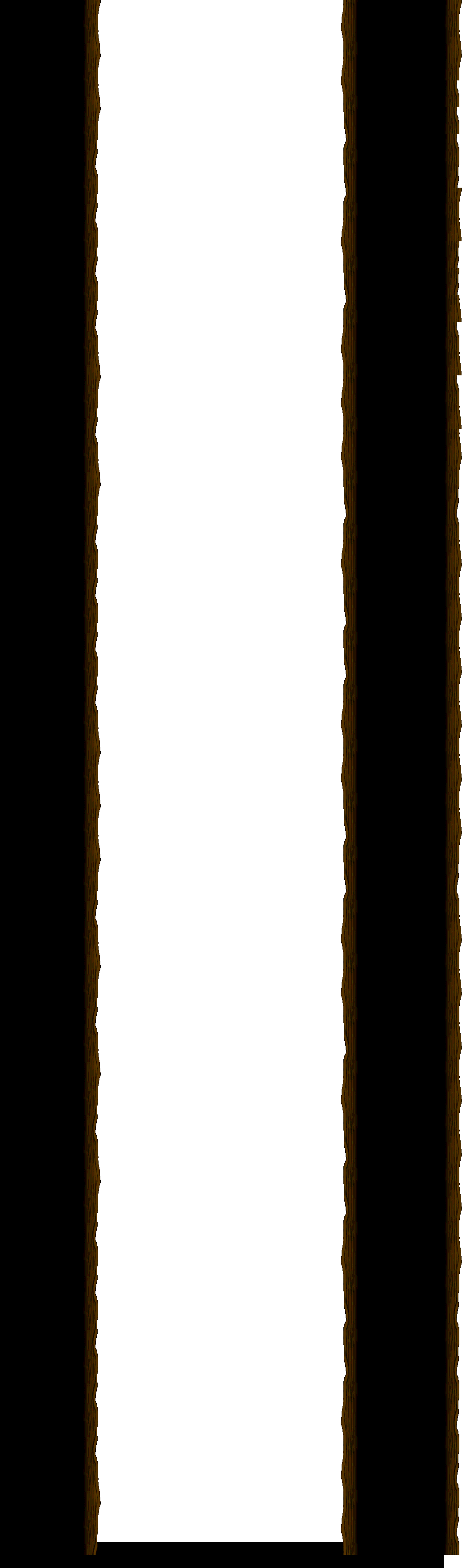 The Tree Tunnel At the Forest Up North full background render
