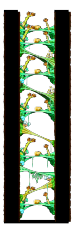 Minimap