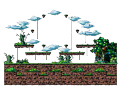 Minimap
