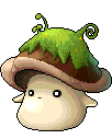 苔蘚菇菇