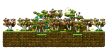 Minimap