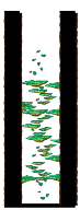 Minimap