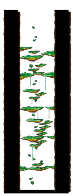 Minimap