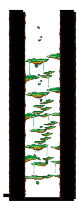 Minimap