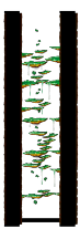 Minimap