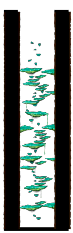 Minimap