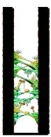 Minimap