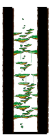 Minimap