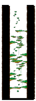 Minimap