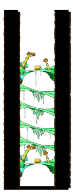 Minimap