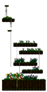 Minimap