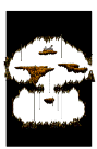Minimap
