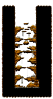 Minimap