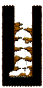 Minimap