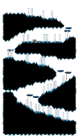 Minimap