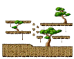 Minimap