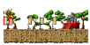 Minimap