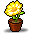 노란색 꽃이 핀 화분