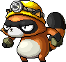 라쿤