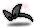 블랙 바닐라 리본