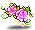 로망 로즈