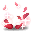 춤추는 꽃잎