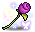 무도회의 주인공