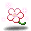 꽃게꽃