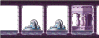 정원