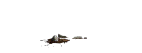 왕궁 메인홀