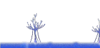 생명이 시작되는 곳