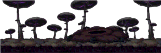 얌얌 아일랜드 어딘가