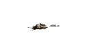 왕궁 메인홀