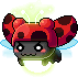 무당벌레