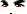 20219