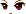 20254