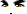 20419