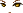 20453
