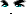20519