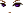 20653