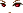 21251