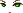 21351