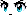 21509