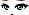 21526