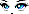 21529